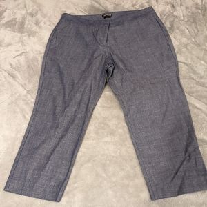 Express Editor Capri Pants
